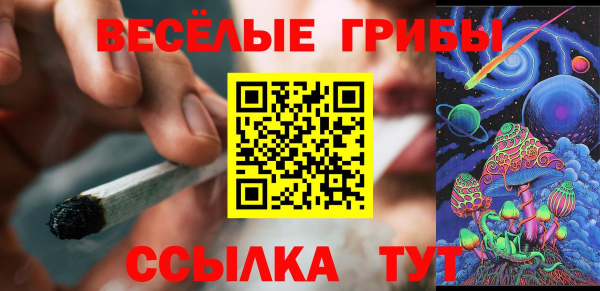 Баксан  Галлюциногенные грибы MAGIC MUSHROOMS  Вход с VPN 
